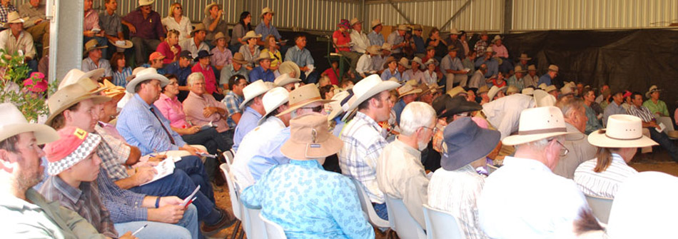 Dangarfield Header Banner