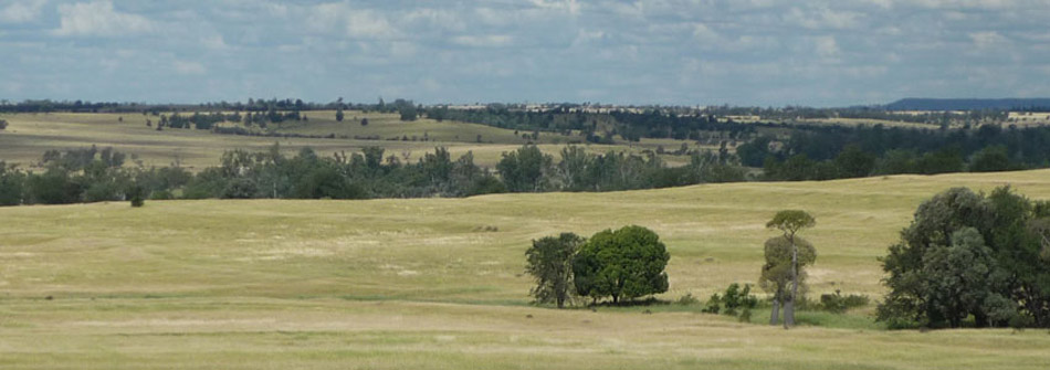 Dangarfield Header Banner