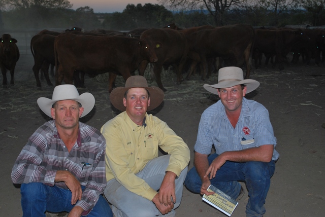 Buying the entire draft of commercial females was Gavin Dennien, Shamrockvale, Beaudesert. He is pictured with Ben Adams, Dangarfield Santa Gertrudis, Taroom, and agent David Eagleson, Shepherdson and Boyd, Toogoolawah. 