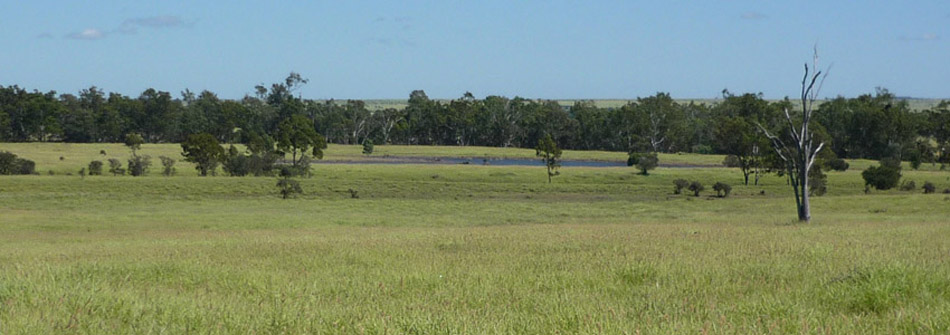 Dangarfield Header Banner